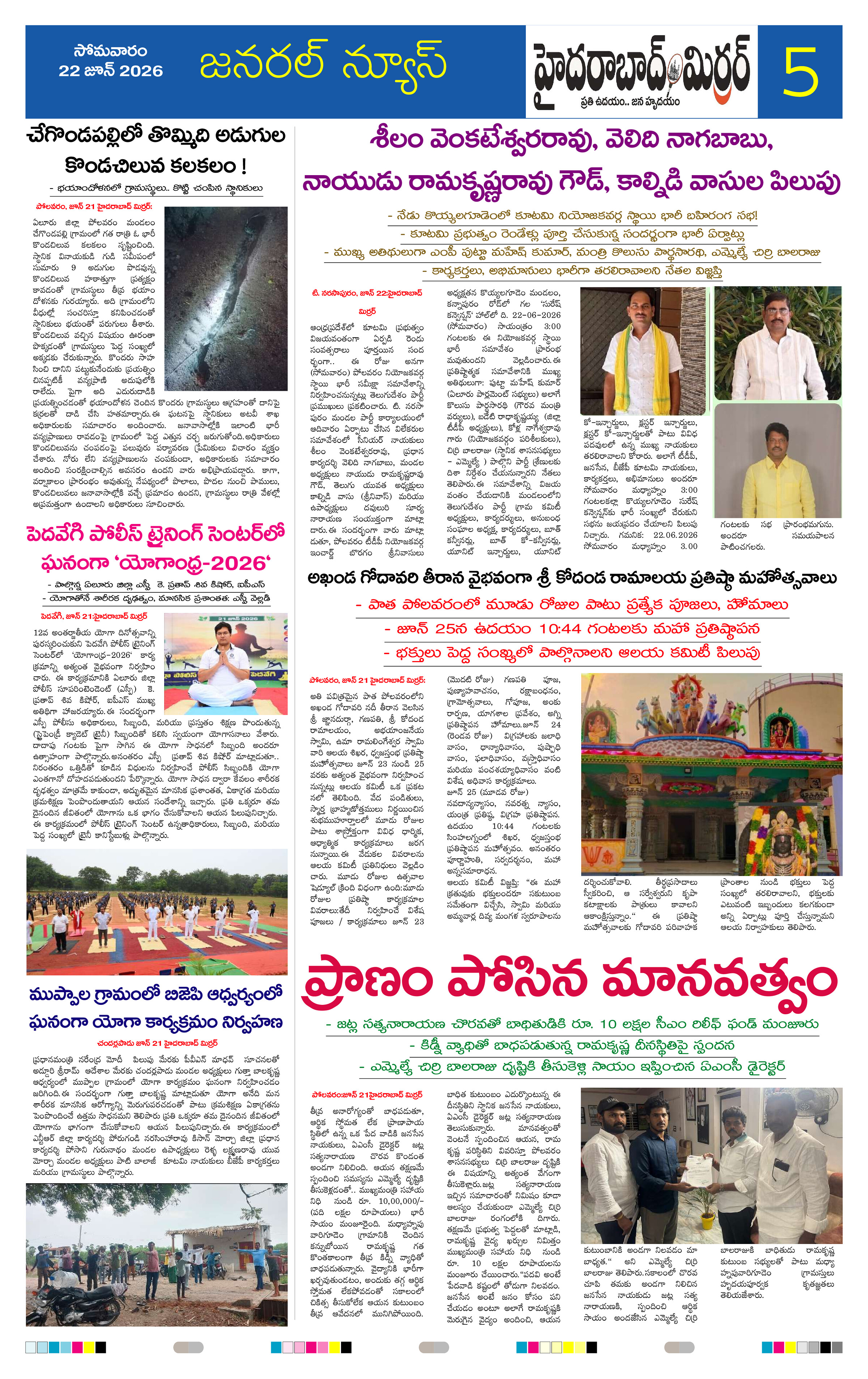 Page 5 thumbnail